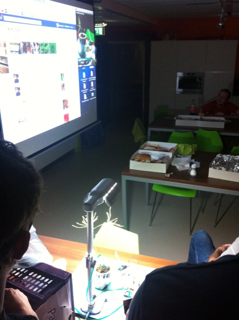 Mimo the plant - 441997934.jpeg