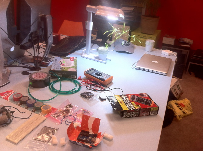 Mimo the plant - IMG_4138.jpg