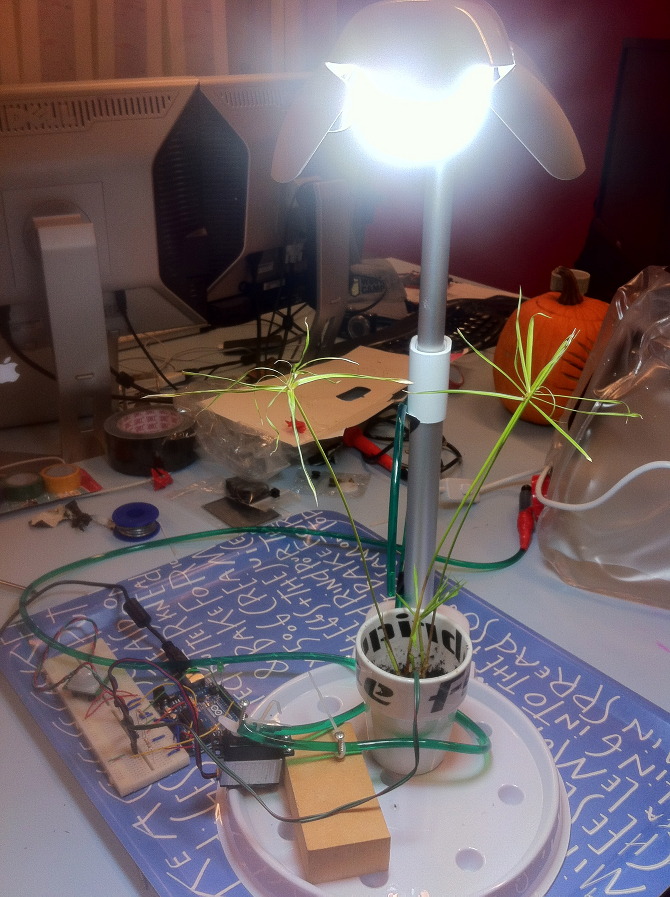 Mimo the plant - IMG_4150.jpg