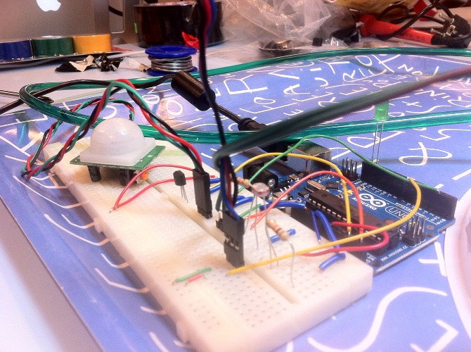 Mimo the plant - IMG_4152.JPG