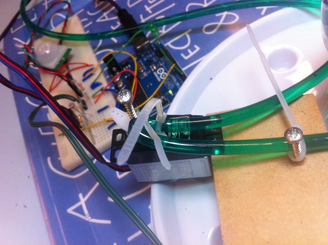 Mimo the plant - IMG_4155.JPG