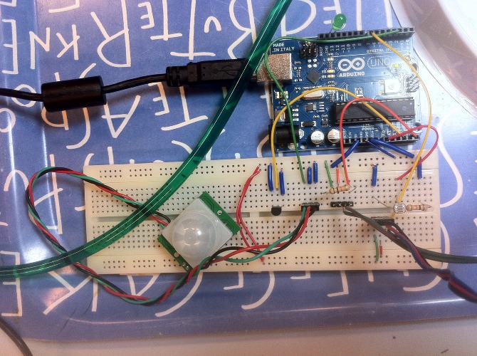 Mimo the plant - IMG_4158.JPG