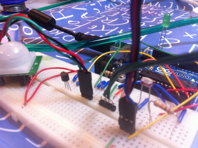 Mimo the plant - IMG_4159.JPG