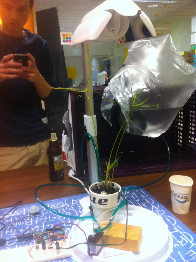 Mimo the plant - IMG_4167.jpg