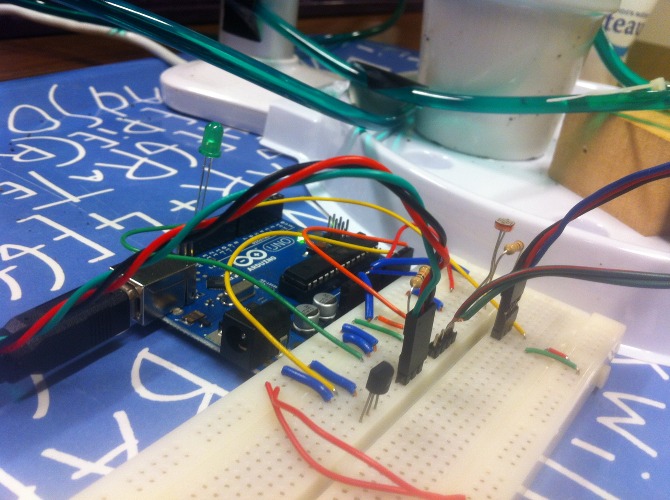 Mimo the plant - IMG_4169.JPG